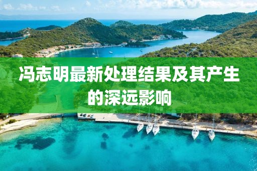 馮志明最新處理結(jié)果及其產(chǎn)生的深遠(yuǎn)影響