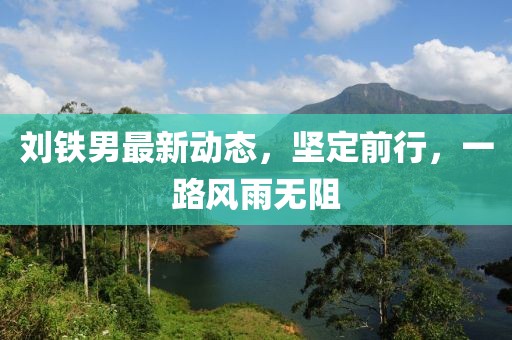 劉鐵男最新動態(tài)，堅定前行，一路風(fēng)雨無阻