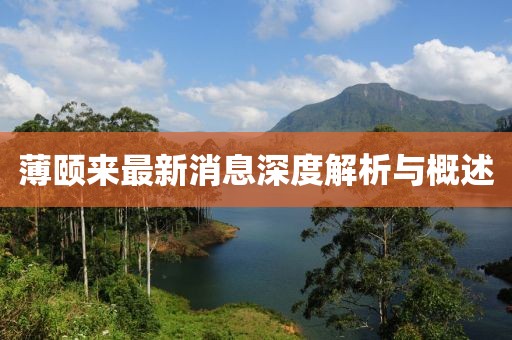 薄頤來最新消息深度解析與概述