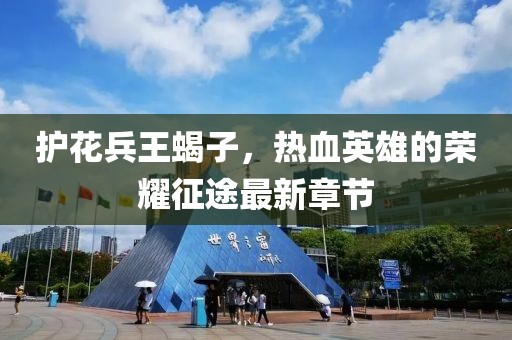 護(hù)花兵王蝎子，熱血英雄的榮耀征途最新章節(jié)
