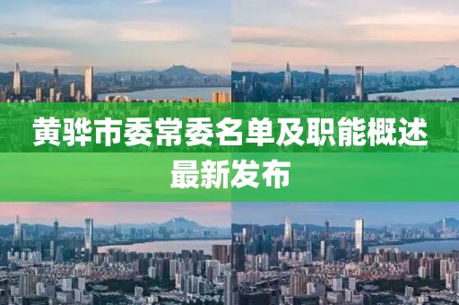 黃驊市委常委名單及職能概述最新發(fā)布