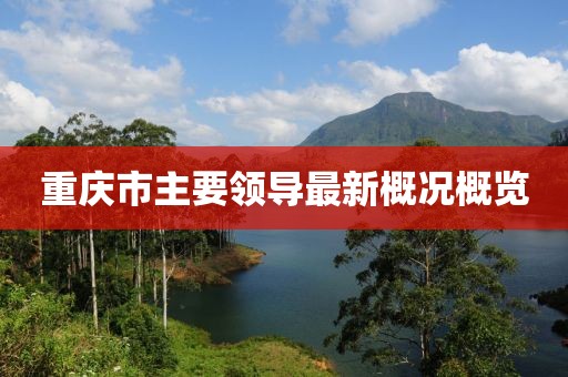 重慶市主要領導最新概況概覽