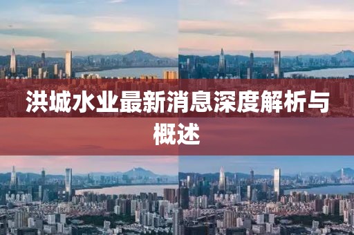 洪城水業(yè)最新消息深度解析與概述