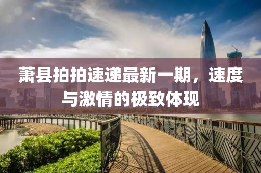 蕭縣拍拍速遞最新一期，速度與激情的極致體現(xiàn)