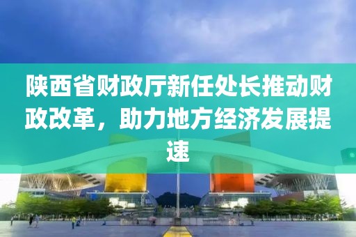 陜西省財政廳新任處長推動財政改革，助力地方經(jīng)濟(jì)發(fā)展提速
