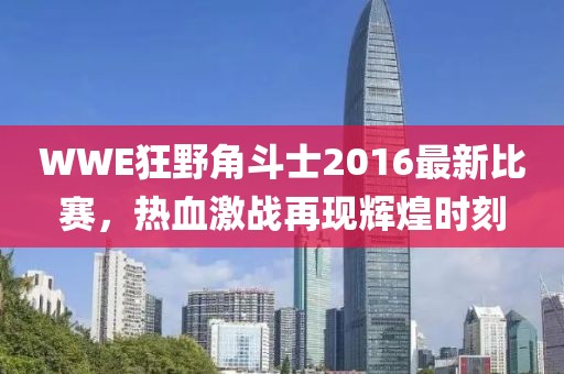 WWE狂野角斗士2016最新比賽，熱血激戰(zhàn)再現(xiàn)輝煌時(shí)刻