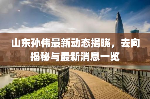 山東孫偉最新動(dòng)態(tài)揭曉，去向揭秘與最新消息一覽