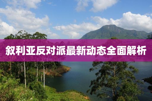 敘利亞反對(duì)派最新動(dòng)態(tài)全面解析
