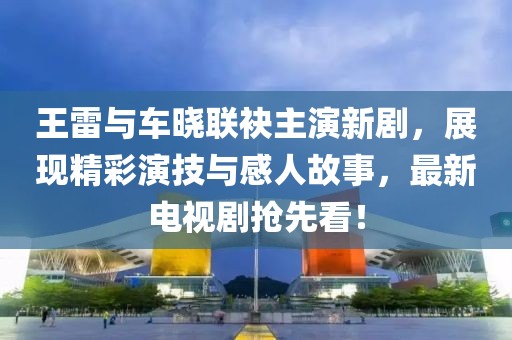 王雷與車(chē)曉聯(lián)袂主演新劇，展現(xiàn)精彩演技與感人故事，最新電視劇搶先看！