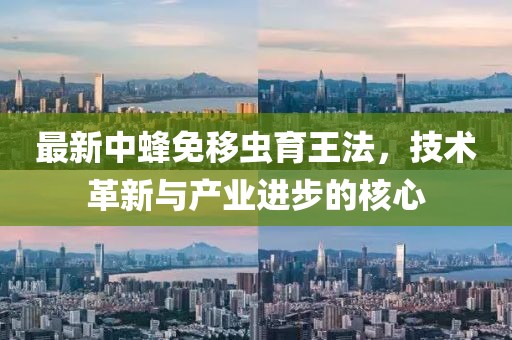 最新中蜂免移蟲育王法，技術(shù)革新與產(chǎn)業(yè)進(jìn)步的核心