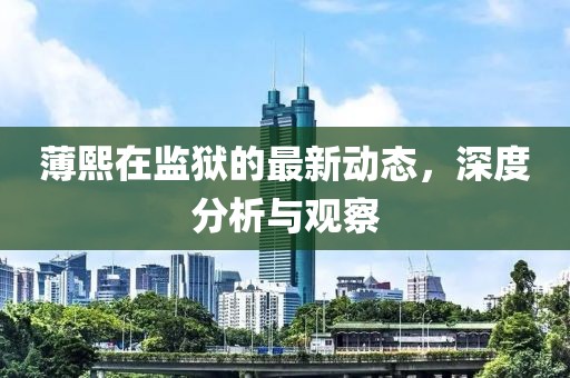 薄熙在監(jiān)獄的最新動態(tài)，深度分析與觀察