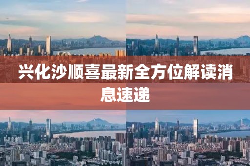 興化沙順喜最新全方位解讀消息速遞