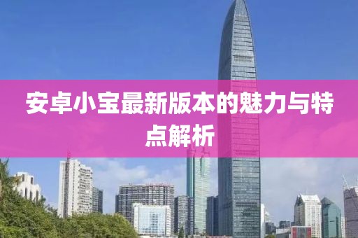 安卓小寶最新版本的魅力與特點(diǎn)解析