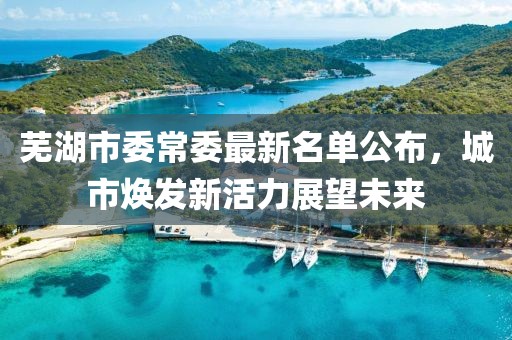 蕪湖市委常委最新名單公布，城市煥發(fā)新活力展望未來