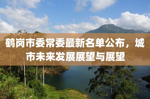 鶴崗市委常委最新名單公布，城市未來發(fā)展展望與展望