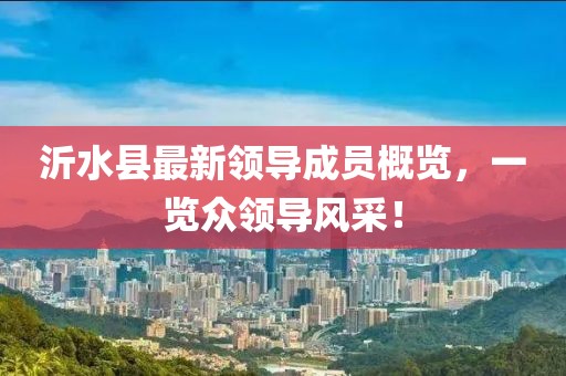 沂水縣最新領(lǐng)導(dǎo)成員概覽，一覽眾領(lǐng)導(dǎo)風(fēng)采！
