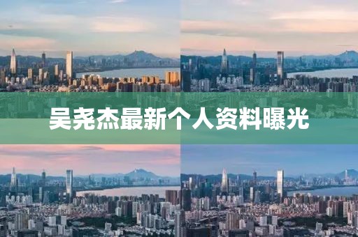 吳堯杰最新個人資料曝光