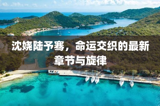 沈嬈陸予騫，命運(yùn)交織的最新章節(jié)與旋律