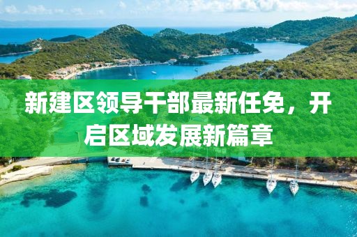 新建區(qū)領(lǐng)導(dǎo)干部最新任免，開啟區(qū)域發(fā)展新篇章