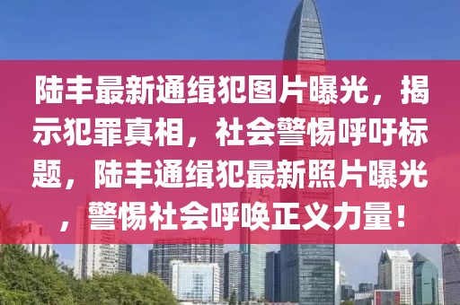 陸豐最新通緝犯圖片曝光，揭示犯罪真相，社會警惕呼吁標題，陸豐通緝犯最新照片曝光，警惕社會呼喚正義力量！
