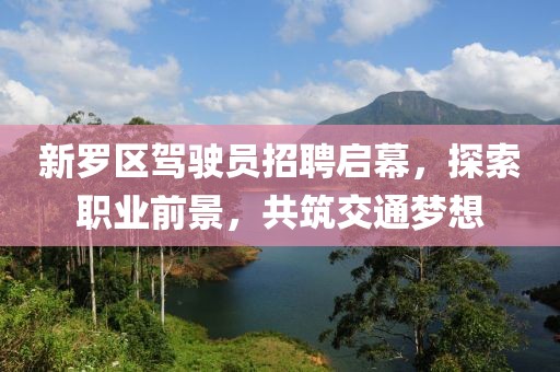 新羅區(qū)駕駛員招聘啟幕，探索職業(yè)前景，共筑交通夢(mèng)想