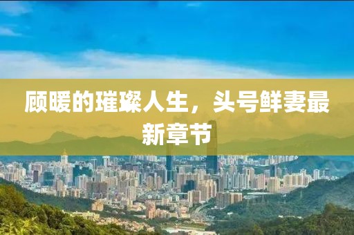 顧暖的璀璨人生，頭號鮮妻最新章節(jié)