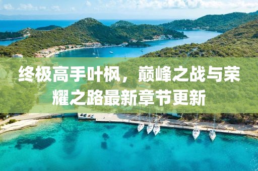 終極高手葉楓，巔峰之戰(zhàn)與榮耀之路最新章節(jié)更新