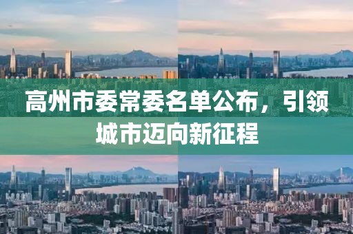 高州市委常委名單公布，引領(lǐng)城市邁向新征程