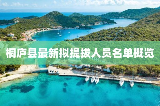 桐廬縣最新擬提拔人員名單概覽
