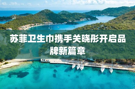 蘇菲衛(wèi)生巾攜手關(guān)曉彤開啟品牌新篇章
