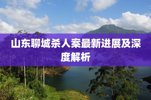 山東聊城殺人案最新進(jìn)展及深度解析