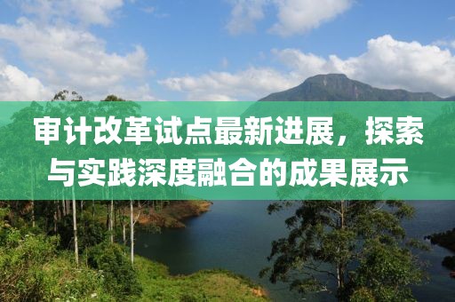 審計(jì)改革試點(diǎn)最新進(jìn)展，探索與實(shí)踐深度融合的成果展示