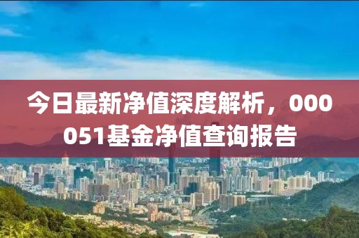 今日最新凈值深度解析，000051基金凈值查詢報(bào)告