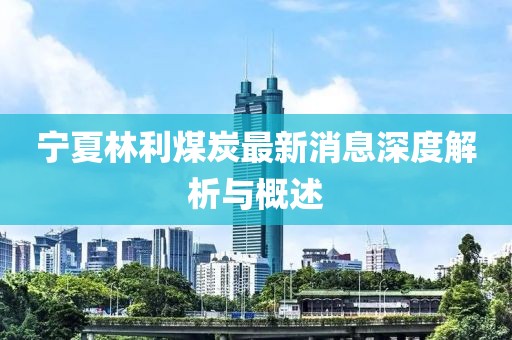 寧夏林利煤炭最新消息深度解析與概述