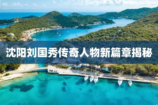 沈陽(yáng)劉國(guó)秀傳奇人物新篇章揭秘