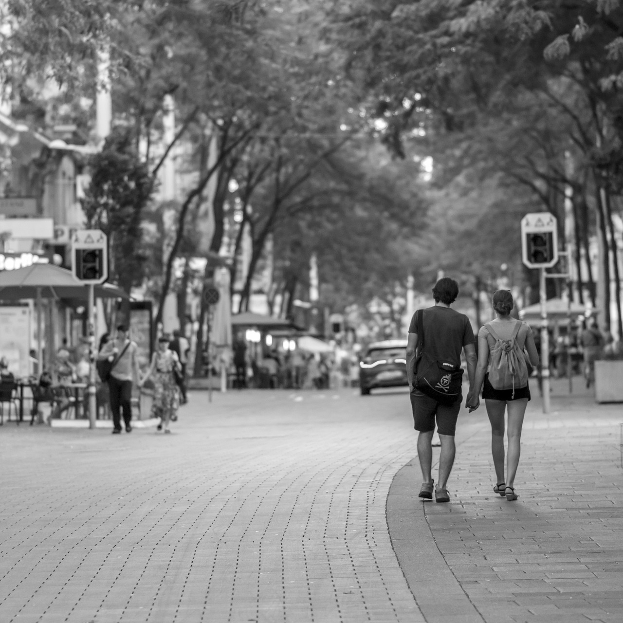 蘄春縣人事任免動態(tài)更新，最新人事任免消息