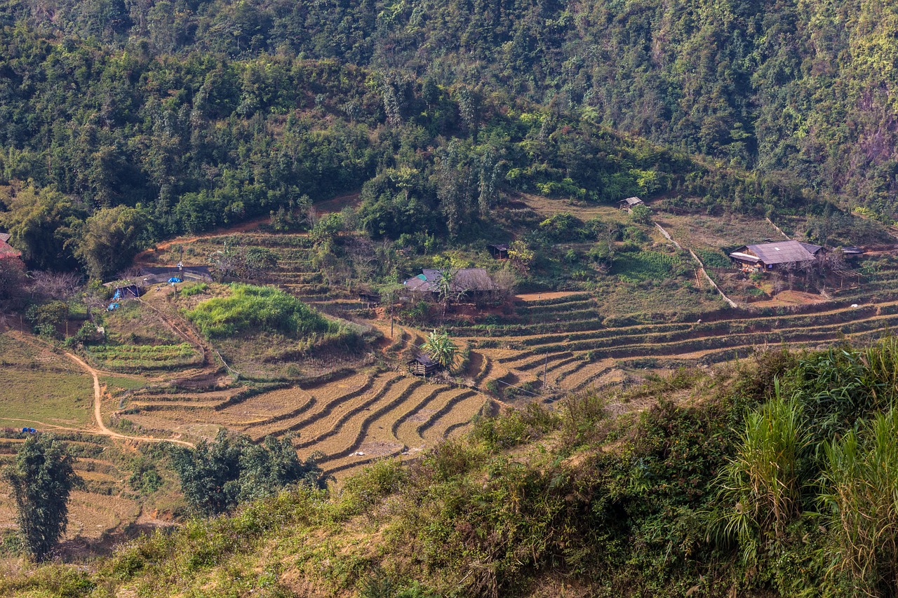 符離鎮(zhèn)最新規(guī)劃圖揭曉，展望繁榮未來，符離鎮(zhèn)2016規(guī)劃展望
