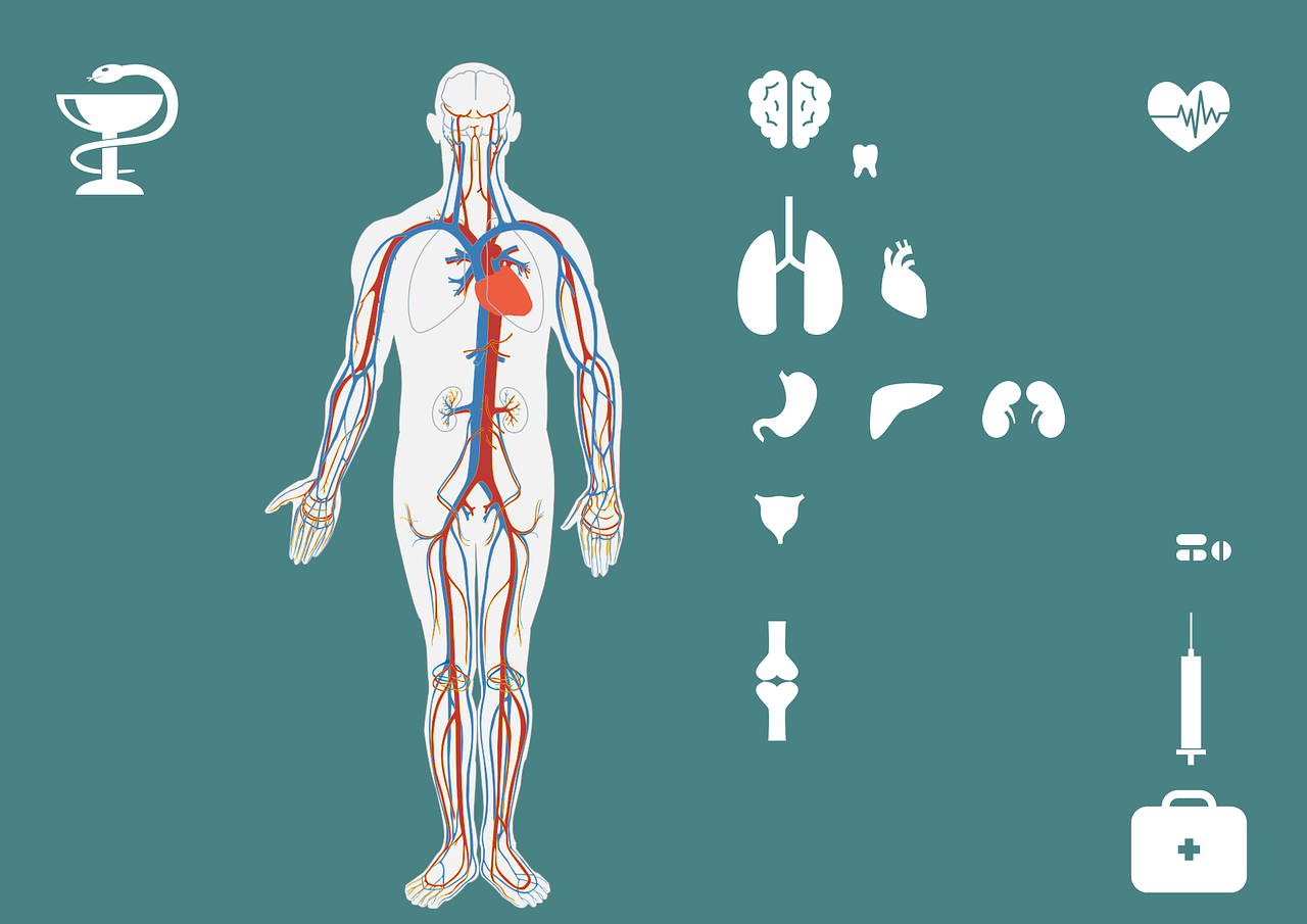 急診搶救流程圖優(yōu)化，提升搶救成功率與急救服務質(zhì)量