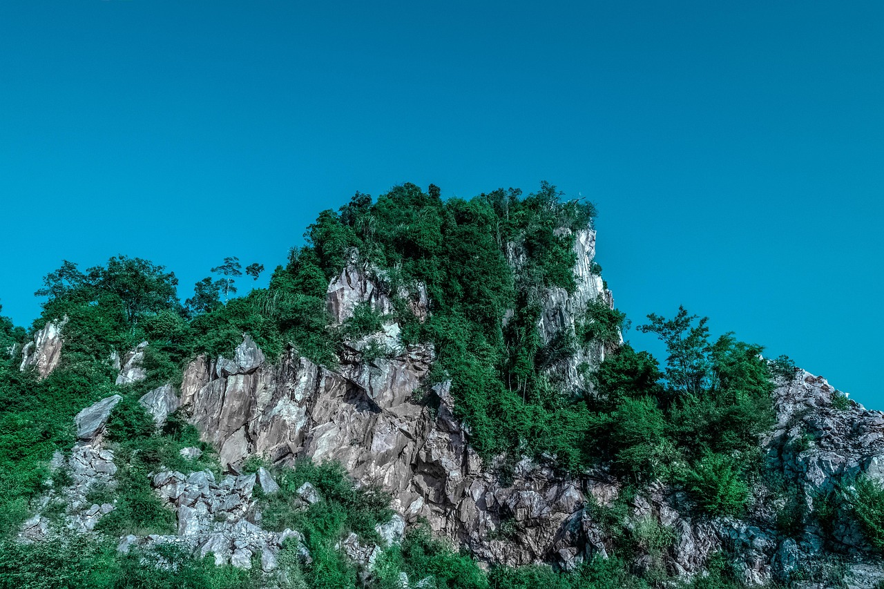 傳藝科技股票最新消息綜述，掌握最新動態(tài)，洞悉股市走向