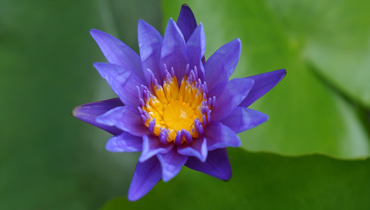 雙陽區(qū)火車站邁向現(xiàn)代化，提升服務(wù)質(zhì)量，最新動態(tài)報告