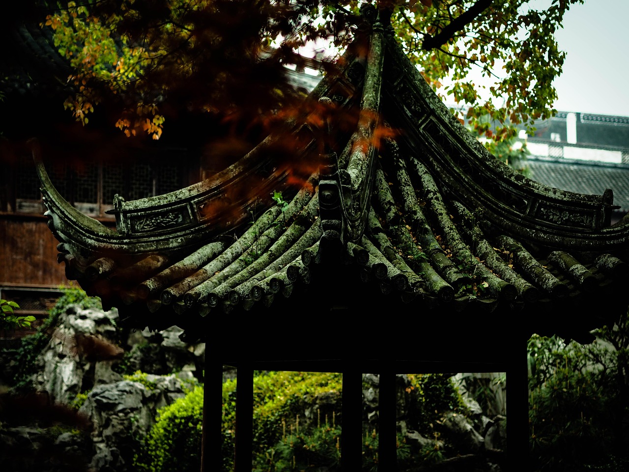 中國女排隊蓄勢待發(fā)，展現(xiàn)新篇章，最新消息與動態(tài)速遞