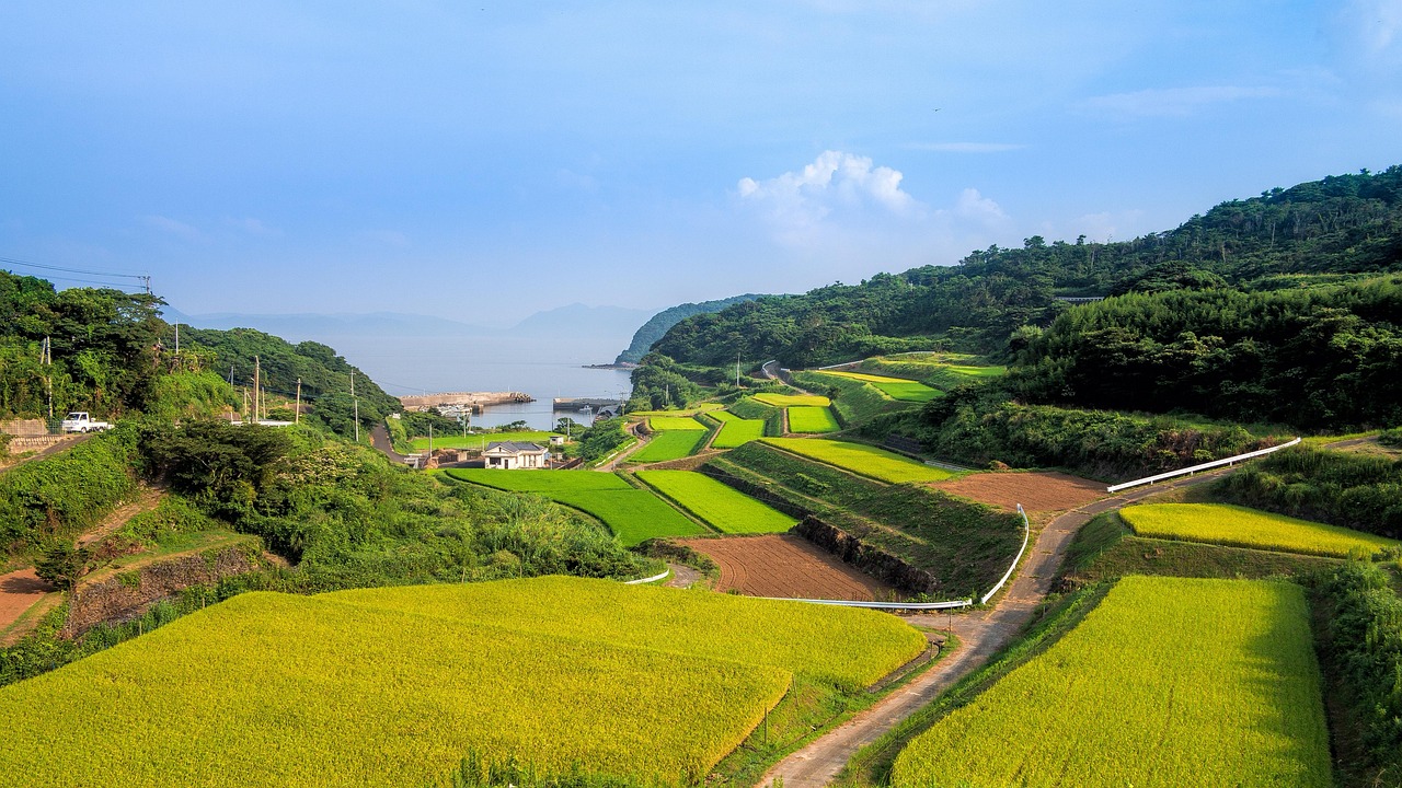 廣西靈山高速建設(shè)進展揭秘，最新消息與未來展望