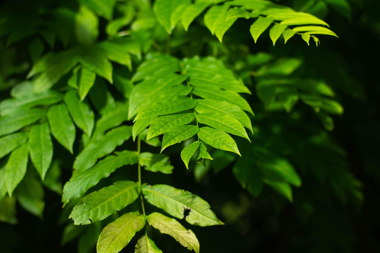 北海水印泉山最新動態(tài)，城市發(fā)展與綠色生態(tài)的和諧共鳴