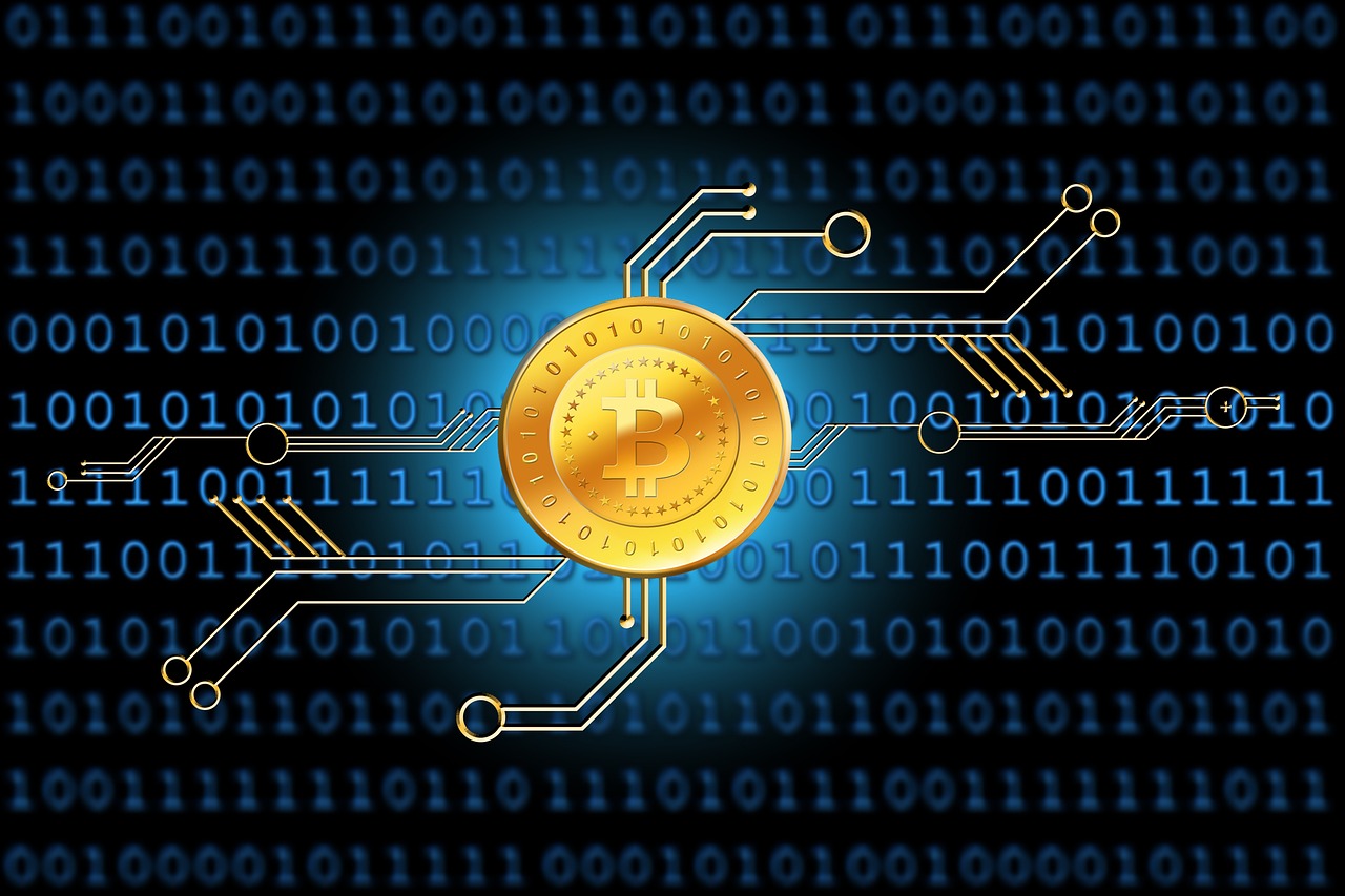 最新傳染病分類及種類概述，全面解析傳染病的世界