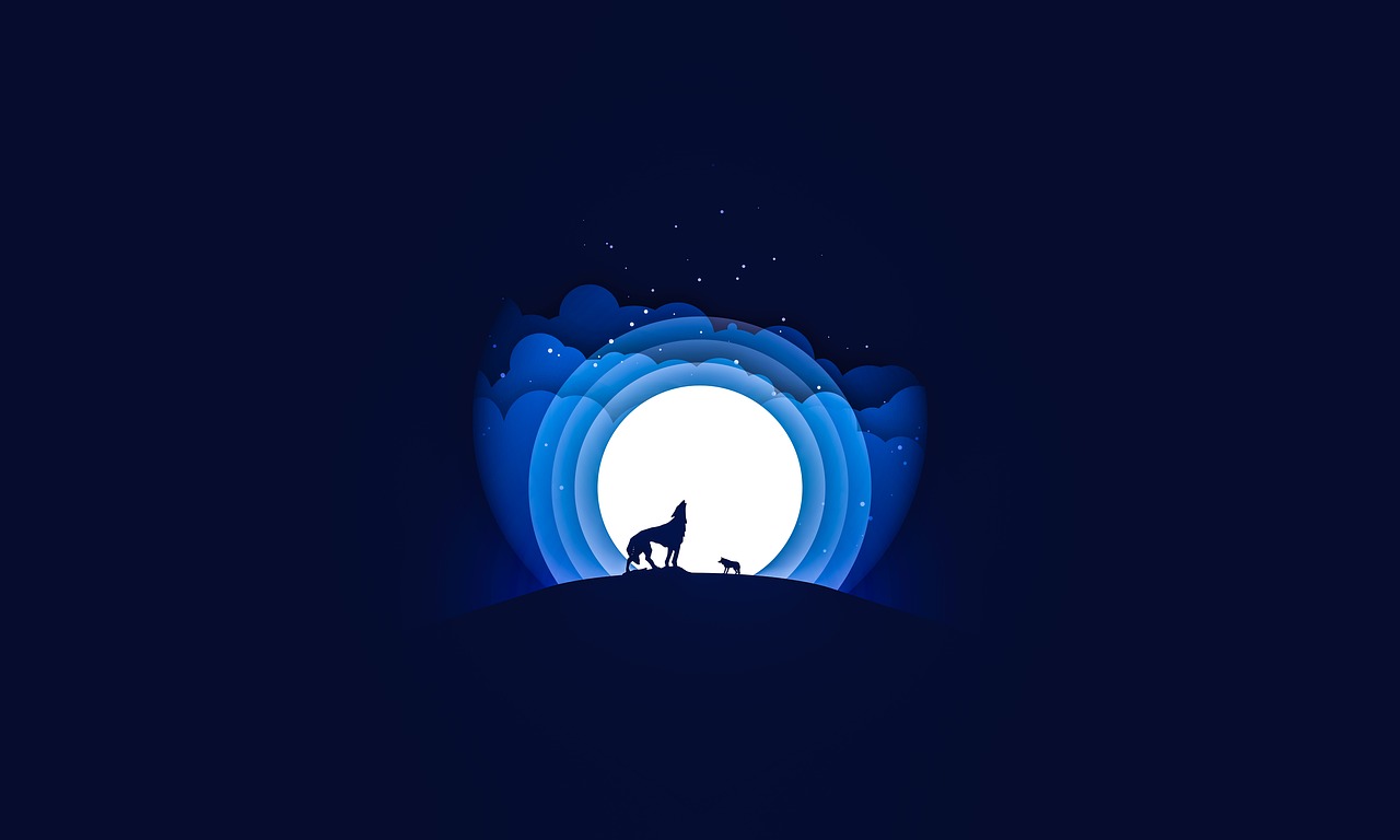 夜狼直播最新版本下載攻略，指南與體驗分享