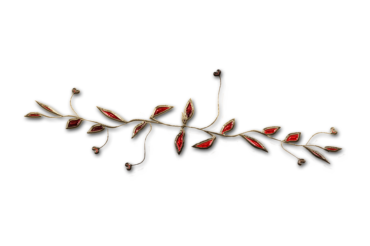 廣西大紅八角產(chǎn)業(yè)蓬勃發(fā)展，前景廣闊，最新消息與動態(tài)