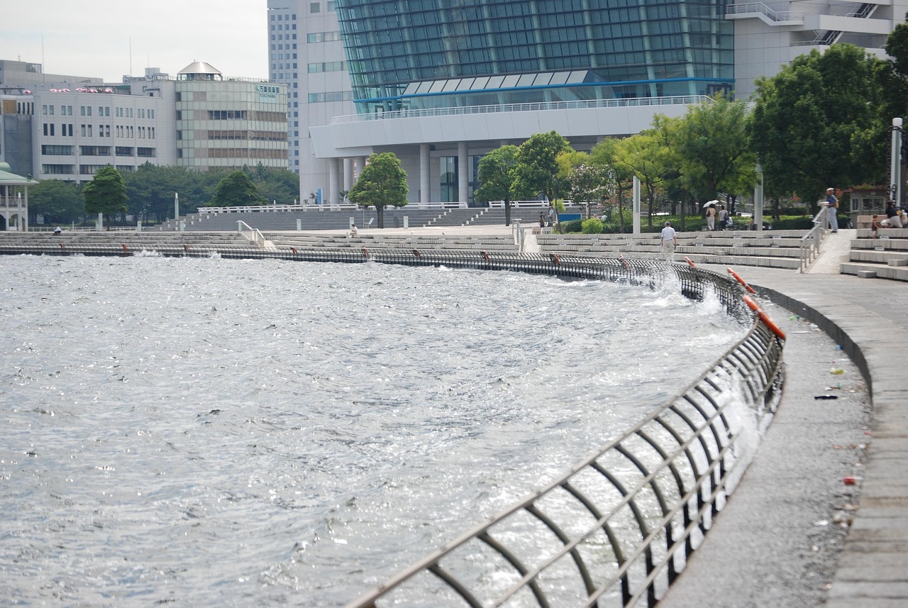 鄭州海昌海洋公園最新動態(tài)揭秘，揭開神秘面紗，展現(xiàn)海洋魅力奇觀