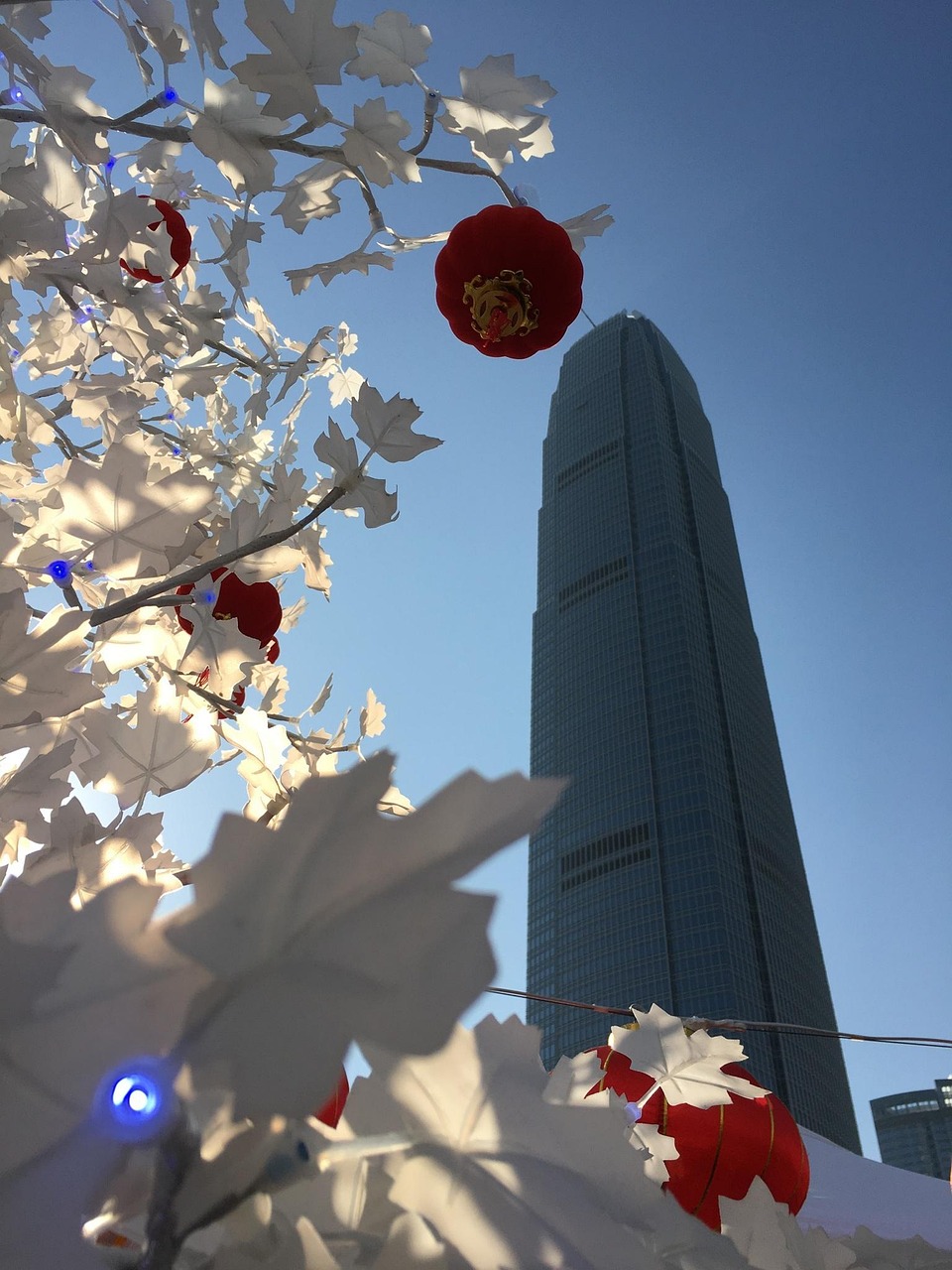 漫漫長夜新版本砍樹探索，全新體驗之旅